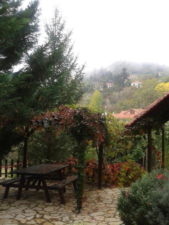 Villa En Arhi Ano Trikala Exterior foto