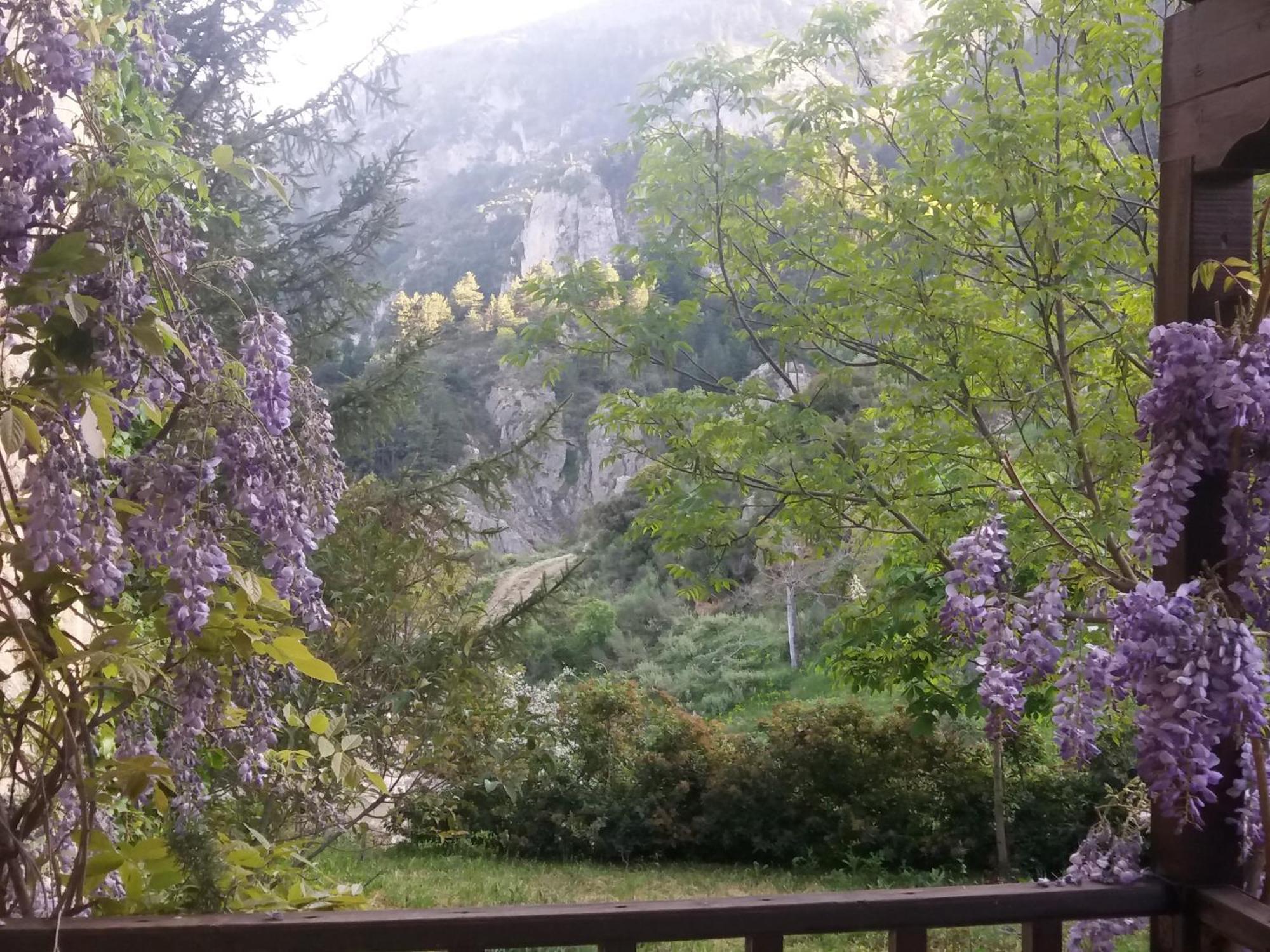Villa En Arhi Ano Trikala Exterior foto