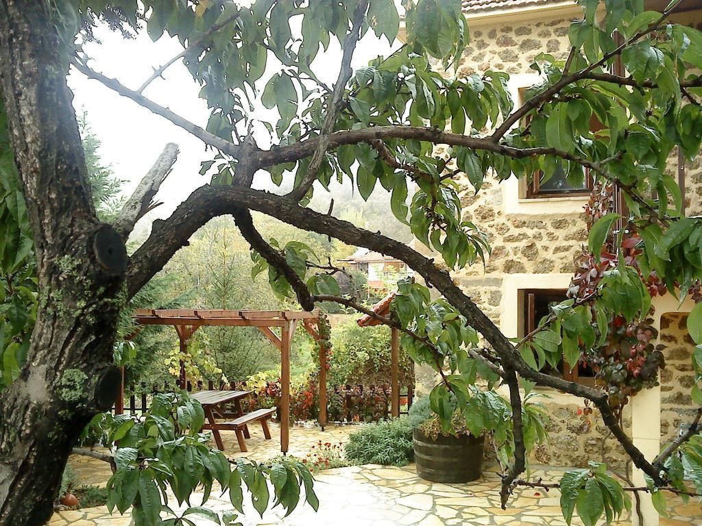 Villa En Arhi Ano Trikala Habitación foto
