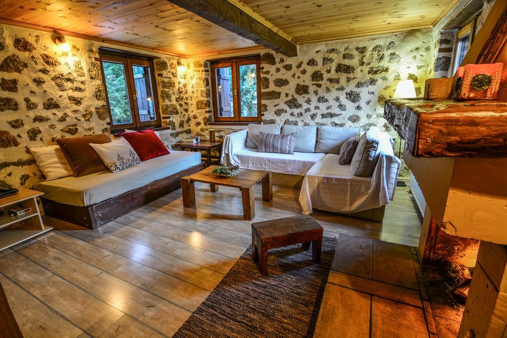 Villa En Arhi Ano Trikala Exterior foto